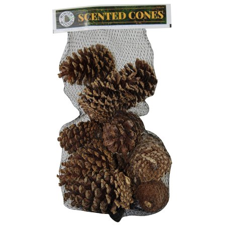 WINTER WOODS Cinnamon Scented Cones 14 pk, 14PK 88-267